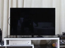 不只是甜蜜 从一台液晶电视，细数婚姻生活的多重维度